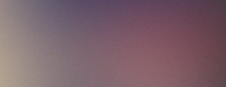 Decorative hair accessories for women